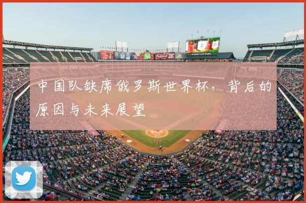 中国队缺席俄罗斯世界杯，背后的原因与未来展望