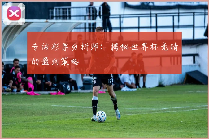 专访彩票分析师:揭秘世界杯竞猜的盈利策略